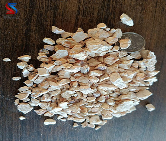 �X���V������ʳƷ�ӹ�����ˎ�h(hu��n)���µă�(y��u)���c��(y��ng)���ھ�,�X���}��,�X���}�ۏS��,�X���}�ۃr(ji��)��,�X�\��,�X�\���r(ji��)��